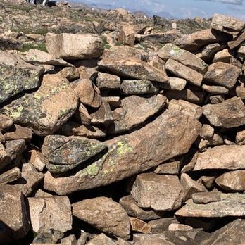 Berthoud Pass Trailhead - Lots of pika at Mt Flora summit! - Hiking Near Me - Winter Park, Colorado