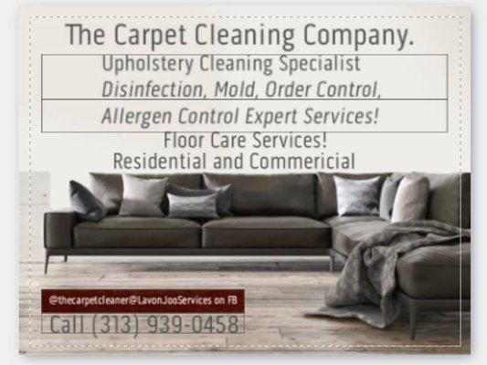 The Carpet Cleaning Logo