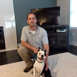 Rocky is a very excitable Boston Terrier that is quickly learning to improve his manners.