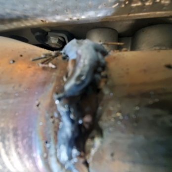Austin's Pro Max - Transmission Repair Near Me - Puyallup, Washington