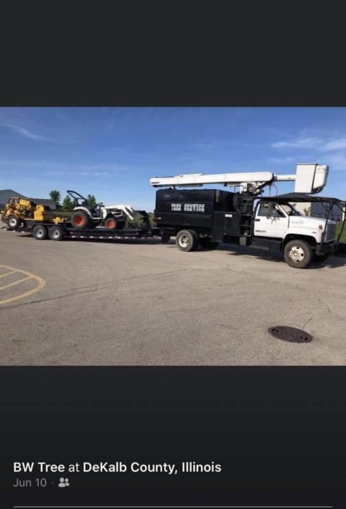 BRODIE’S TREE SERVICES Updated September 2024 Waterman, Illinois Tree Services Phone