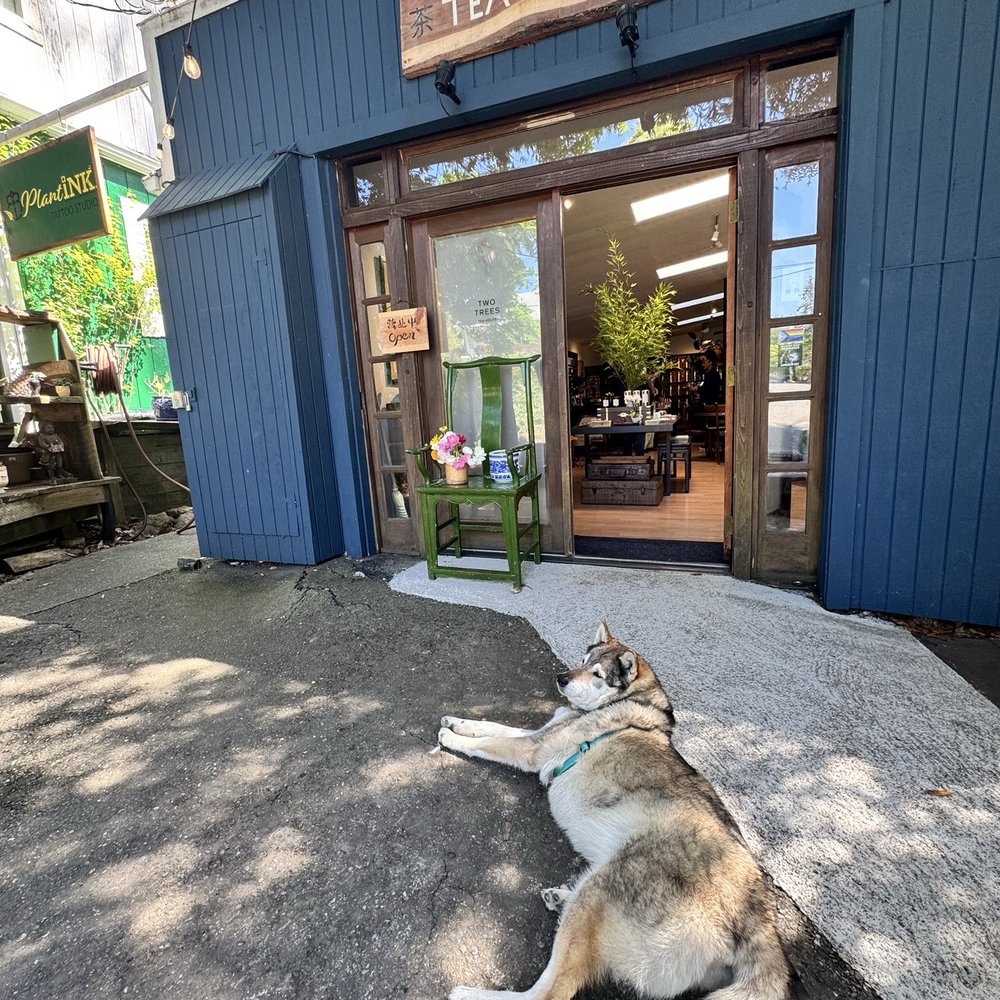 Two Trees Tea House - Dog friendly! - Tea Rooms Near Me - Occidental, California