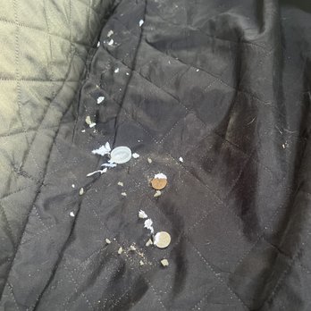 Simi Valley Ford - Chewed up foam from seat cover and feces - Car Dealers Near Me - Simi Valley, California Simi Valley Ford - Chewed up foam from seat cover and feces - Car Dealers Near Me - Simi Valley, California