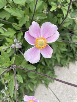 Seasons Market & Cafe by null Seasons Market & Cafe by null