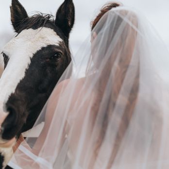 Red Barn Ranch - Venues & Event Spaces Near Me - New Castle, Colorado