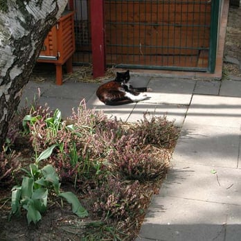Konrad-Adenauer-Tierheim - Animal Shelters Near Me - Cologne, NW Konrad-Adenauer-Tierheim - Animal Shelters Near Me - Cologne, NW
