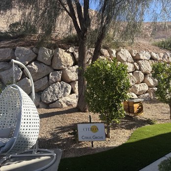 Citron - Bee hive - Apartments Near Me - Las Vegas, Nevada Citron - Bee hive - Apartments Near Me - Las Vegas, Nevada