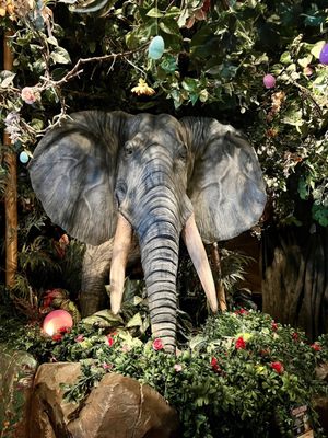 Rainforest Cafe by null