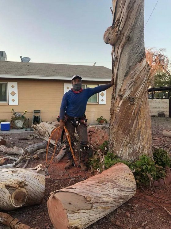 A Hernandez Landscaping - tree service in Salt Lake City, UT