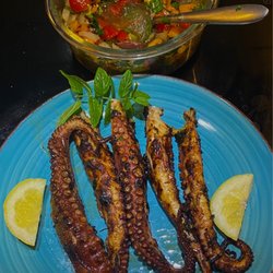 Wild Fork - Grilled octopus in a grilled veg., herb, olive sauce.... Fantastic!!!!