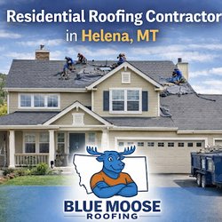 Blue Moose Roofing