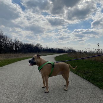 Miller Meadow Forest Preserve - Trail - Parks Near Me - Maywood, Illinois Miller Meadow Forest Preserve - Trail - Parks Near Me - Maywood, Illinois