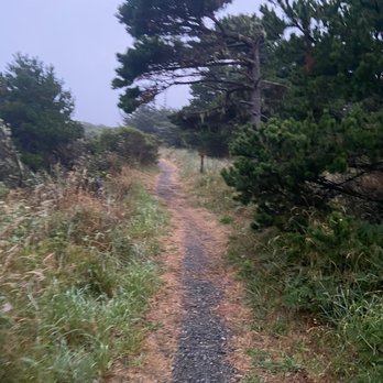 Gold Beach Inn - Waking path to ocean - Hotels Near Me - Gold Beach, Oregon