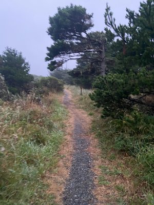 Gold Beach Inn by null