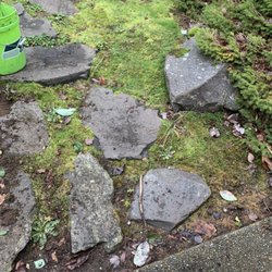 Morgan's Lawn Service - Weed clean up