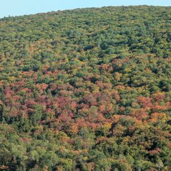 Brockway Mountain Drive - Fall colors