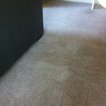 Jose's Carpet Cleaning - Without my dogs paw prints - Carpet Cleaning Near Me