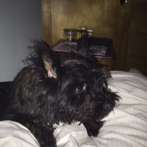 Photo of The Crocodile - Seattle, WA, United States. Crispy