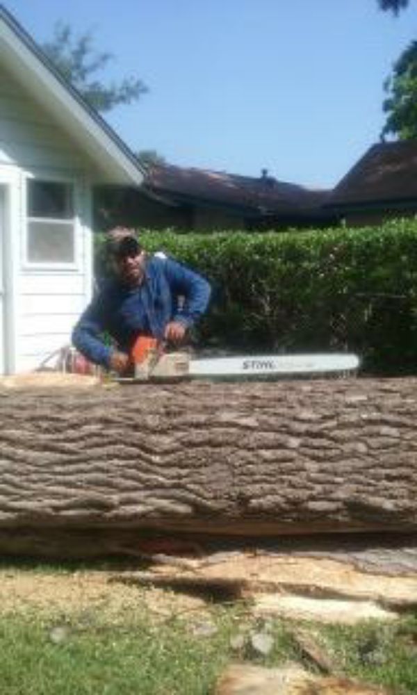 Slide of Flores Tree Service