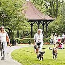 Paddington Recreation Ground