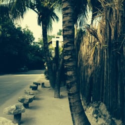 IL Barino Tulum Juice & Co - Camino al restaurante