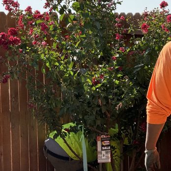 Moon Valley Nurseries - Nurseries & Gardening Near Me - Roseville, California