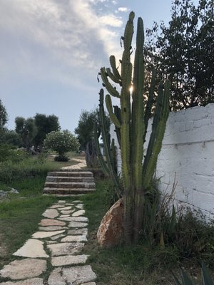 Masseria Il Frantoio by null