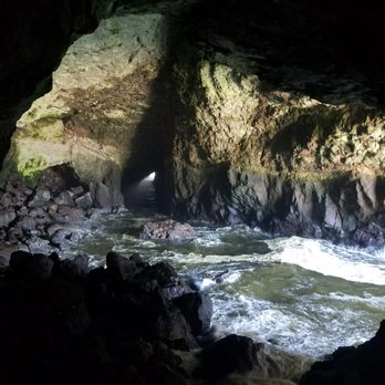 Sea Lion Caves - August 2020 * Sea Lion Caves - Active Life Near Me - Florence, Oregon Sea Lion Caves - August 2020 * Sea Lion Caves - Active Life Near Me - Florence, Oregon