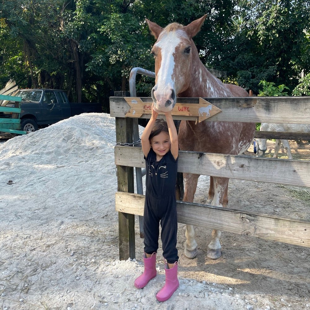 Happi Farm - Community Service/Non-Profit Near Me - Davie, Florida Happi Farm - Community Service/Non-Profit Near Me - Davie, Florida