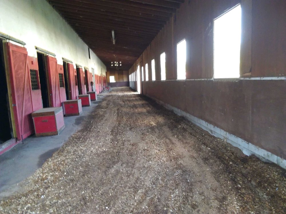 Columbia Riding Academy - equestrian in Eastover, SC