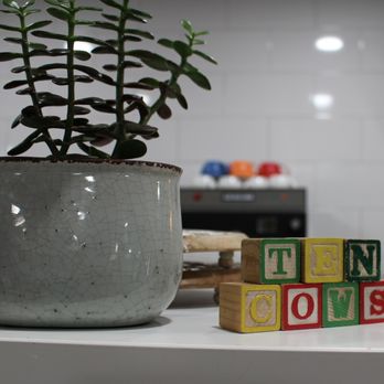 10 cows - a potted plant and blocks on a kitchen counter - Food Delivery Services Near Me - Frostburg, Maryland 10 cows - a potted plant and blocks on a kitchen counter - Food Delivery Services Near Me - Frostburg, Maryland