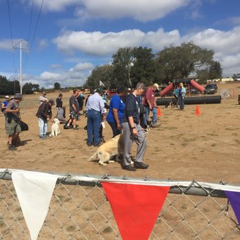 The K-9 Clinic - Pet Training Near Me - Corralitos, California The K-9 Clinic - Pet Training Near Me - Corralitos, California
