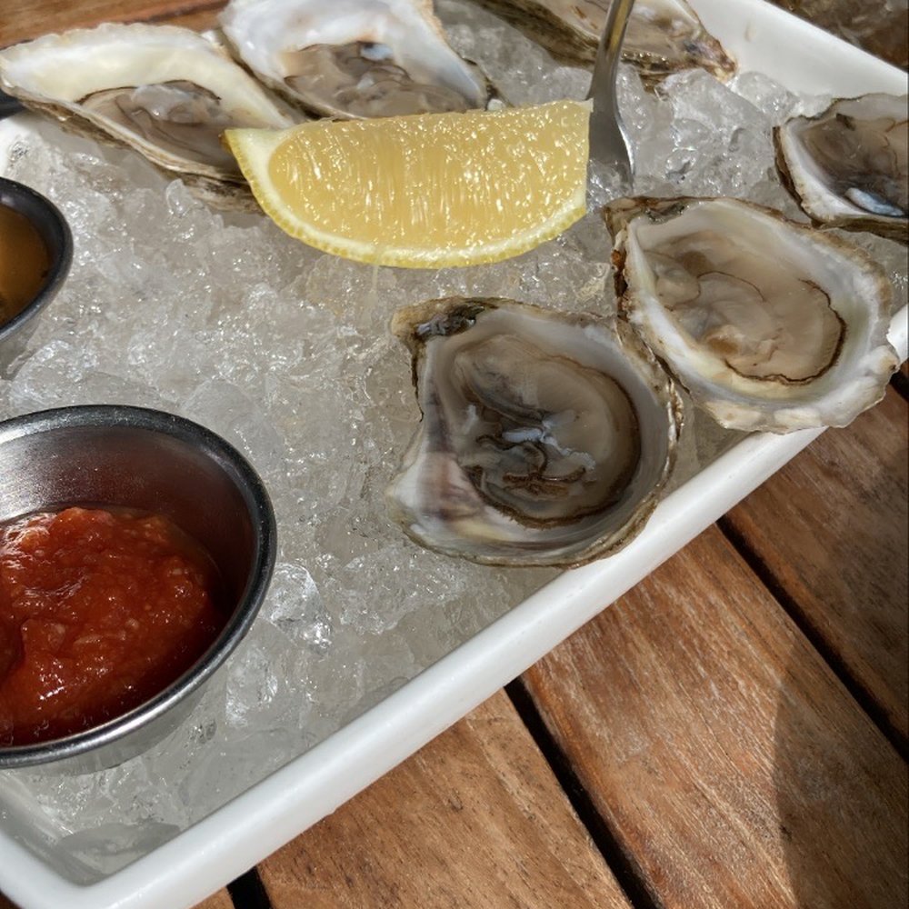 Metro Lafayette - Oysters - New American Near Me - Lafayette, California Metro Lafayette - Oysters - New American Near Me - Lafayette, California