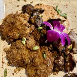 Oysters and Alligator