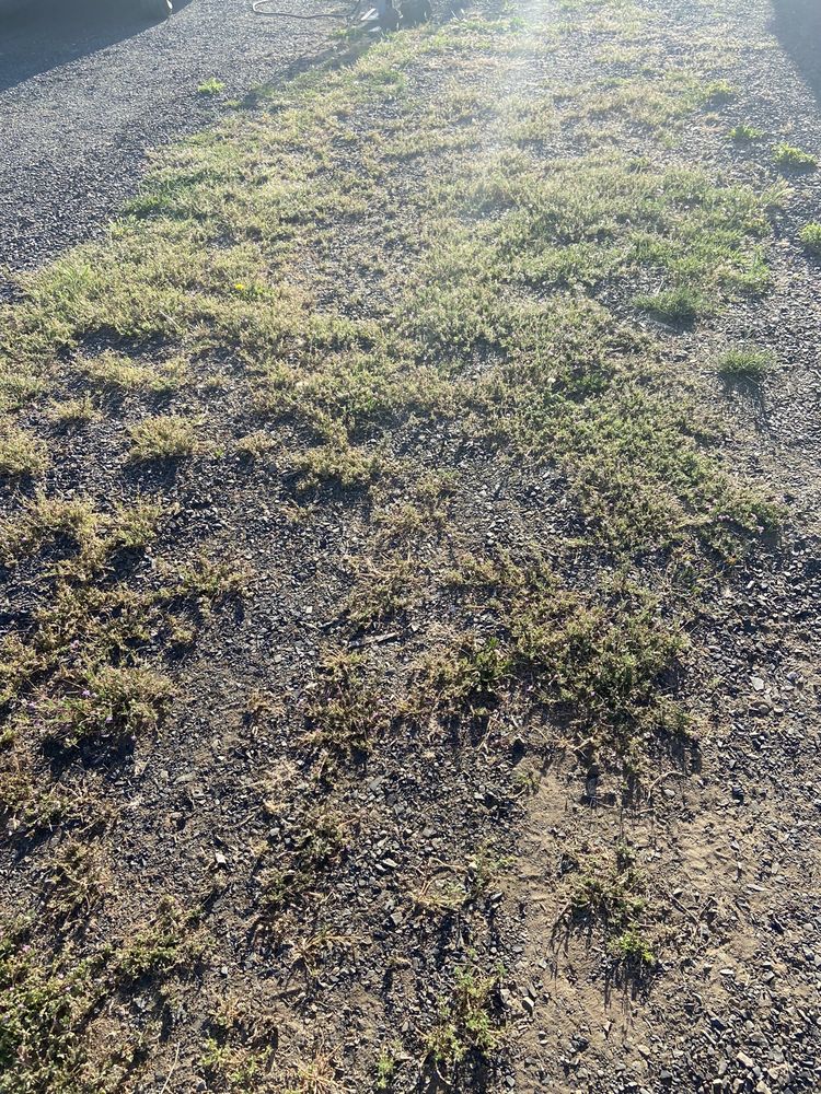 CROOKED RIVER RANCH RV PARK Updated August 2024 14 Photos & 14