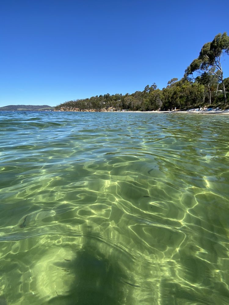 Coningham CONINGHAM NATURE RECREATION AREA - Parks - Coningham Tasmania ...