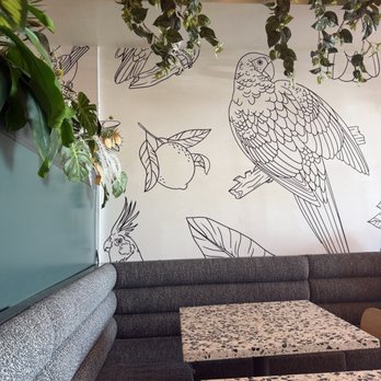 Parakeet Cafe - Newport Beach - Cute interior - Coffee & Tea Near Me - Newport Beach, California Parakeet Cafe - Newport Beach - Cute interior - Coffee & Tea Near Me - Newport Beach, California