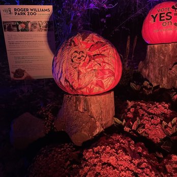 Jack-O-Lantern Spectacular - Sloth - Festivals Near Me - Providence, Rhode Island