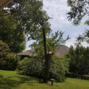 LR Tree Services - Tree down damage from a storm. - Tree Services Near Me - Garland, Texas
