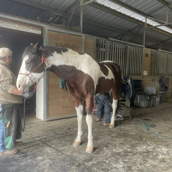 On A Lark Farm - On A Lark Farm . The barn! - Horse Boarding Near Me