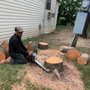 Photo of Ugarte Tree Service