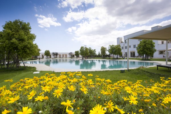 Furnirussi Tenuta by null