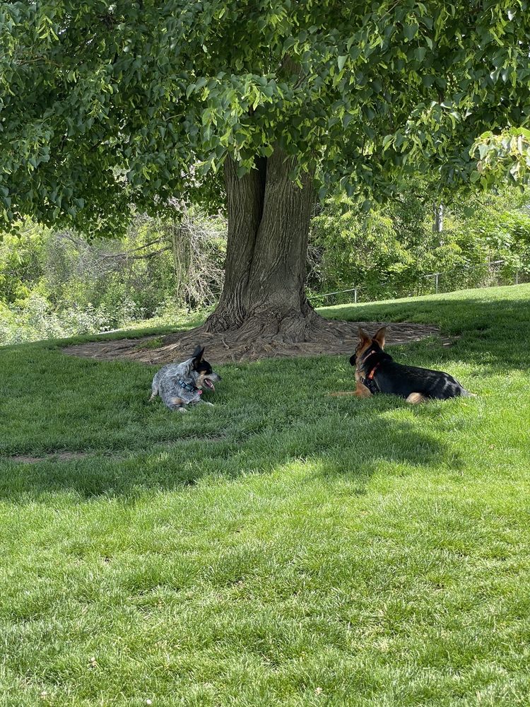 FORT WALLA WALLA DOG PARK Updated September 2024 11 Reviews