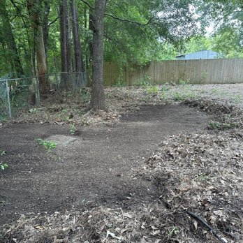 SS Tree Service - Tree Services Near Me SS Tree Service - Tree Services Near Me