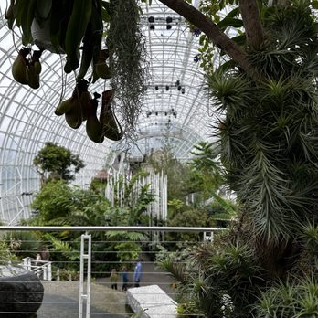Myriad Botanical Gardens - Botanical Gardens Near Me - Oklahoma City, Oklahoma