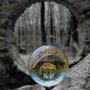 Photo of Photography By Lynn