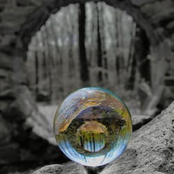 Photography By Lynn - Every person, object, or scene has a story and I want to tell it through photography.