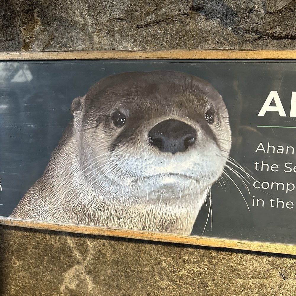 Seattle Aquarium - Aquariums Near Me - Seattle, Washington Seattle Aquarium - Aquariums Near Me - Seattle, Washington