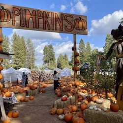 Pine-O-Mine Ranch - 10.12.26 Cute pumpkin patch