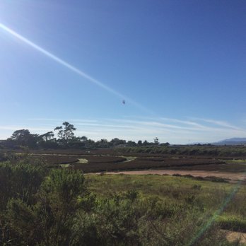 Carpinteria State Beach - Carpinteria Salt Marsh Reserve 500-856 Sand Point Rd, Carpinteria, CA 93013 - Beaches Near Me - Carpinteria, California